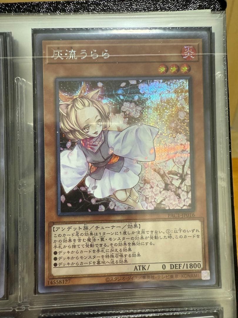 遊戯王OCG カードコレクション　引退品