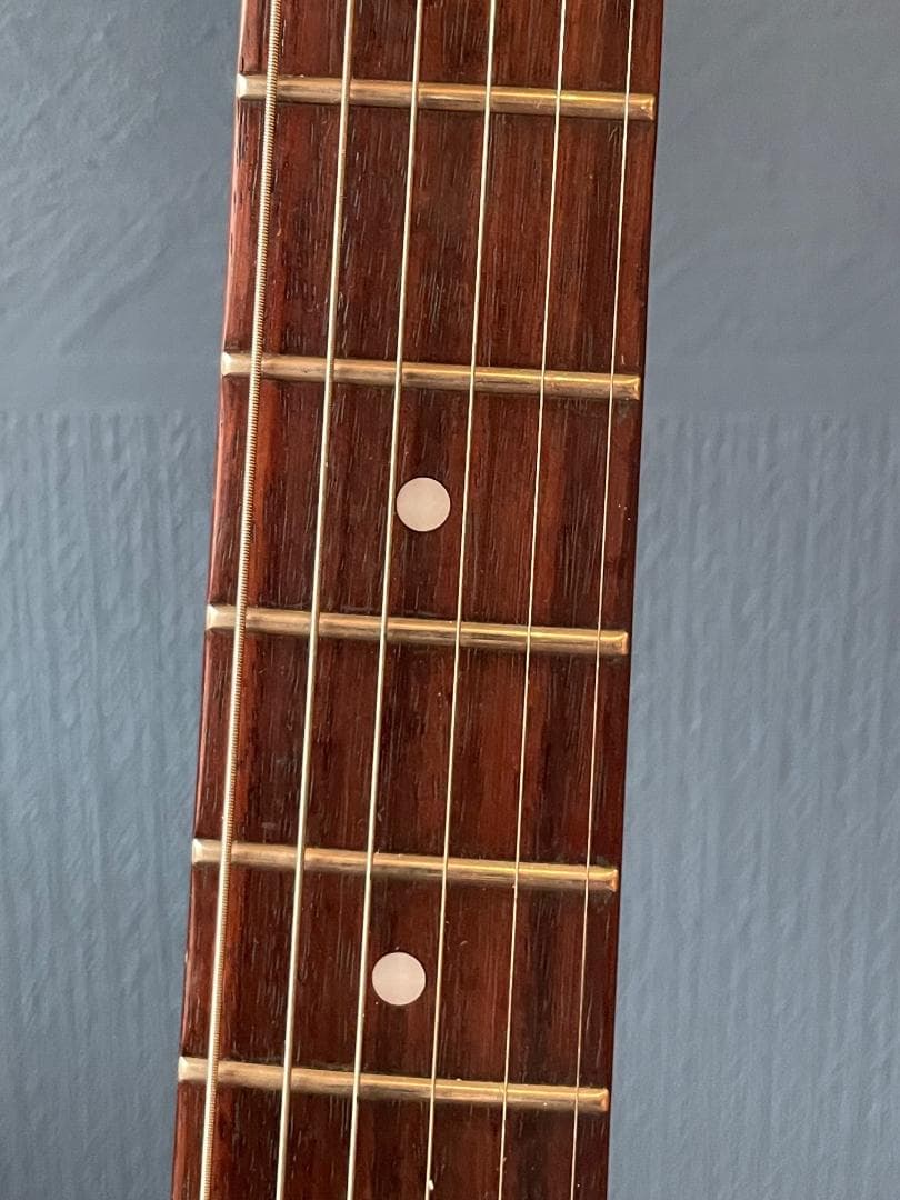 Epiphone フライングV ギターケース付き