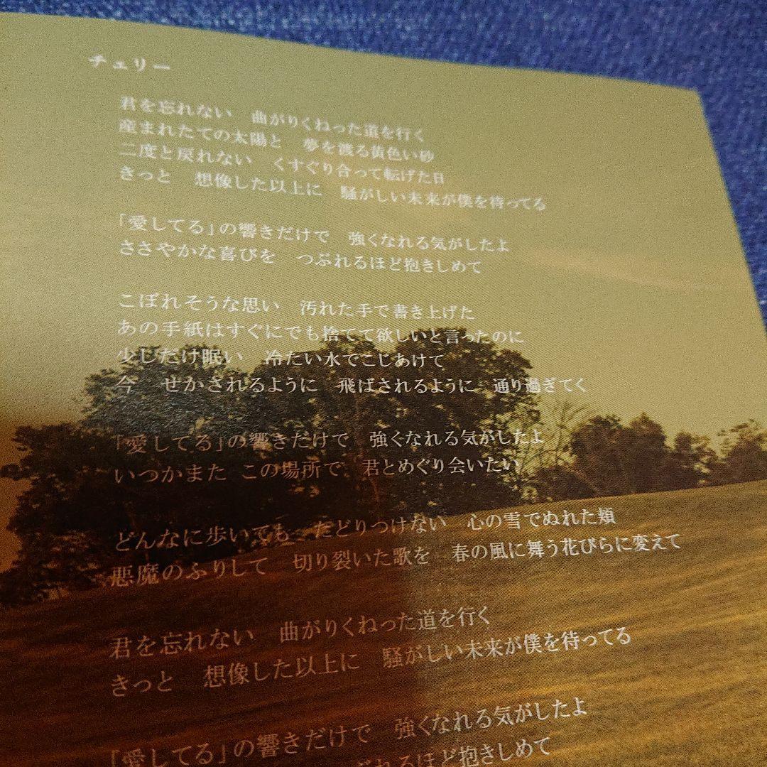 KAN カン　スピッツ　チェリーカバー収録　.世界で一番すきな人　シングル　CD