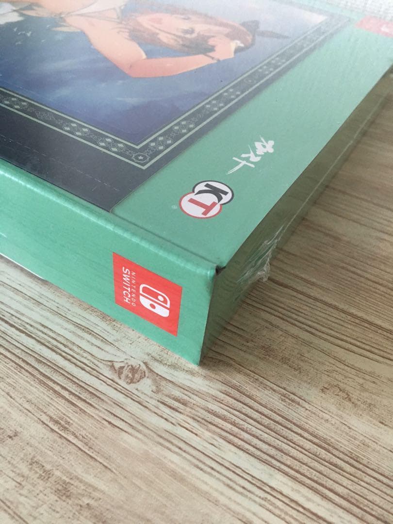 ライザのアトリエ2 Switch用　ゲオver ＋ クリアファイル