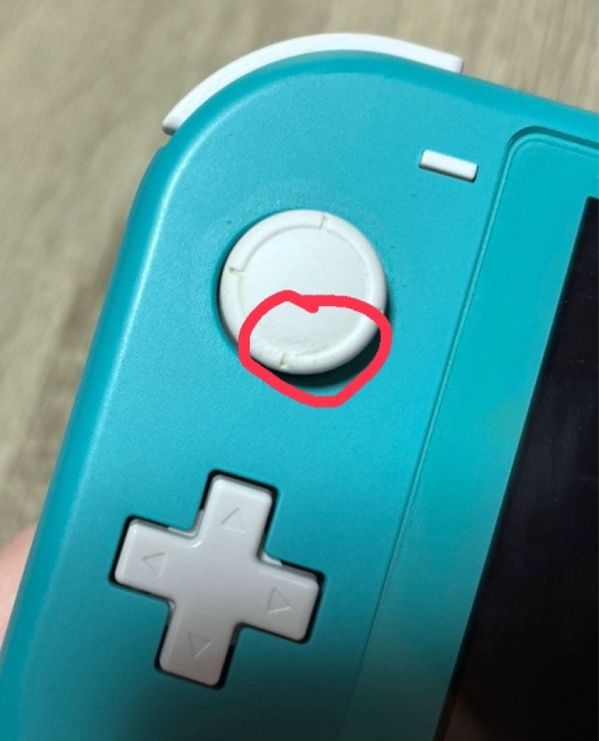 Switchライトターコイズ本体のみ