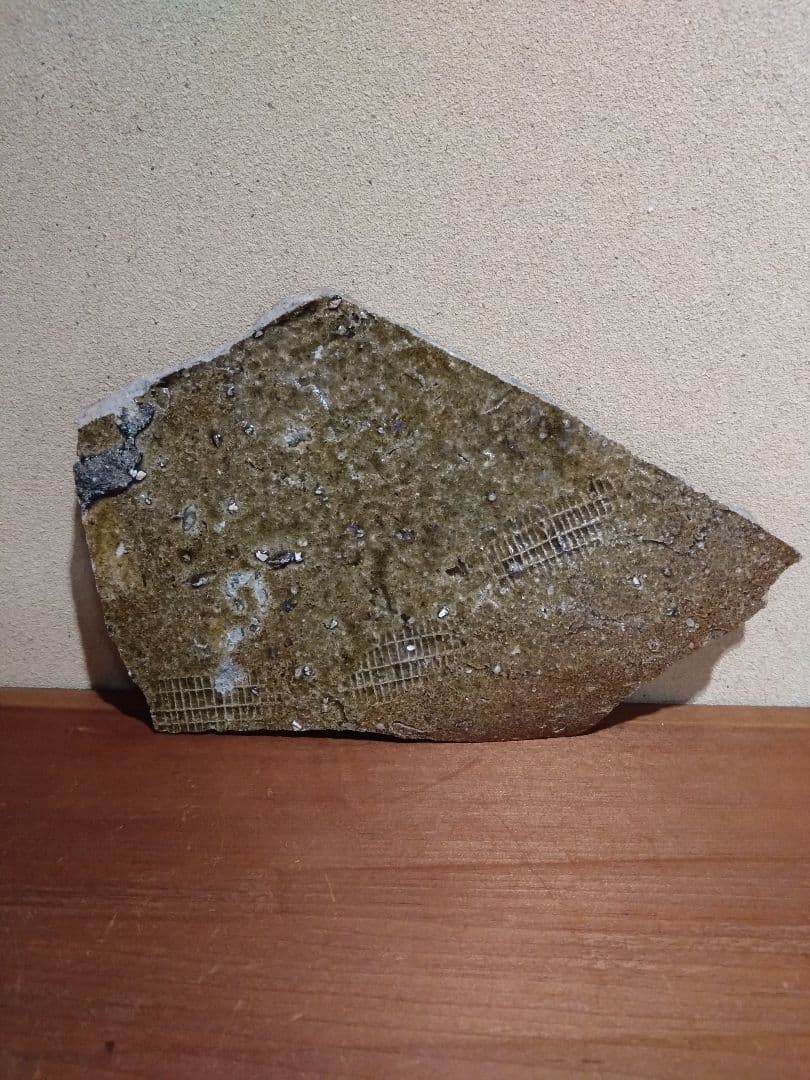 常滑 自然釉 経甕 陶片 平安時代