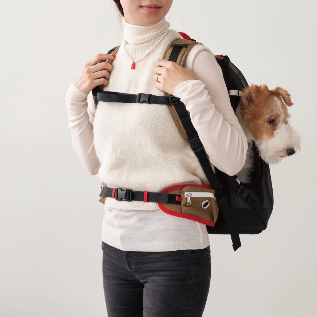 iCANDORのバッグJIGE キャリーバッグ