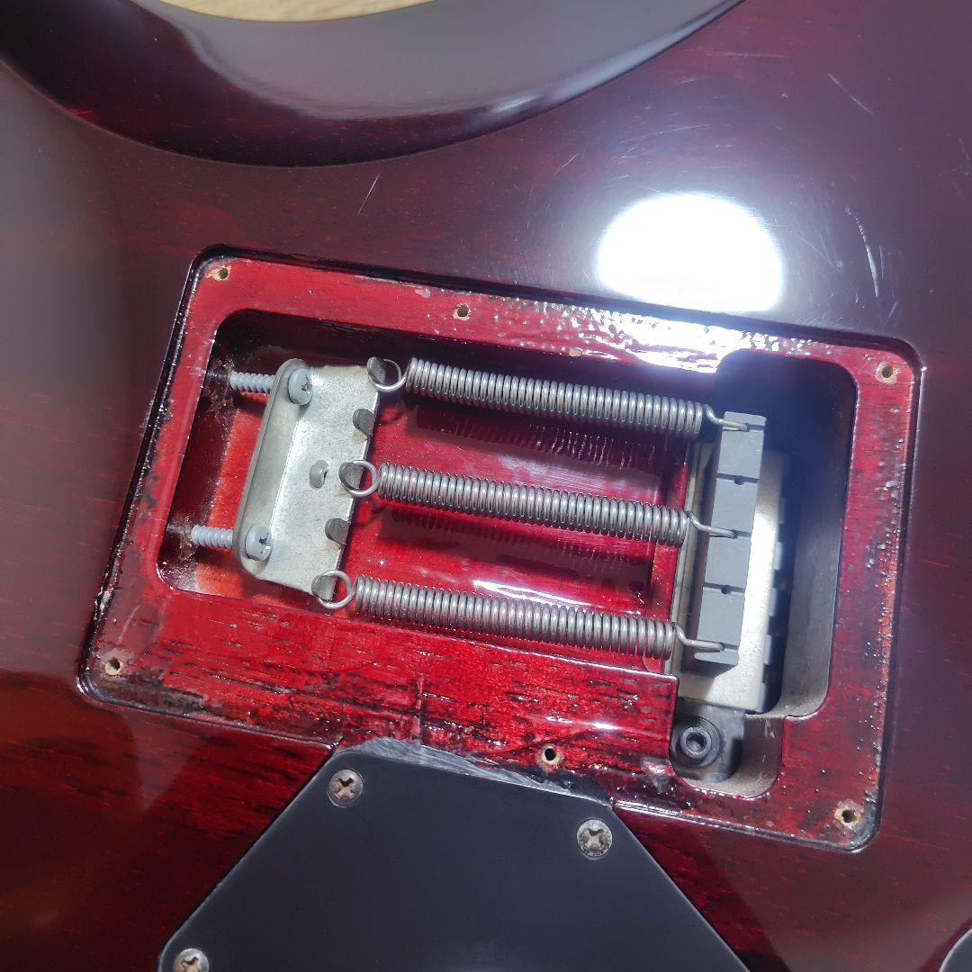 シェクター SCHECTER DAMIEN ELITE-6 FR