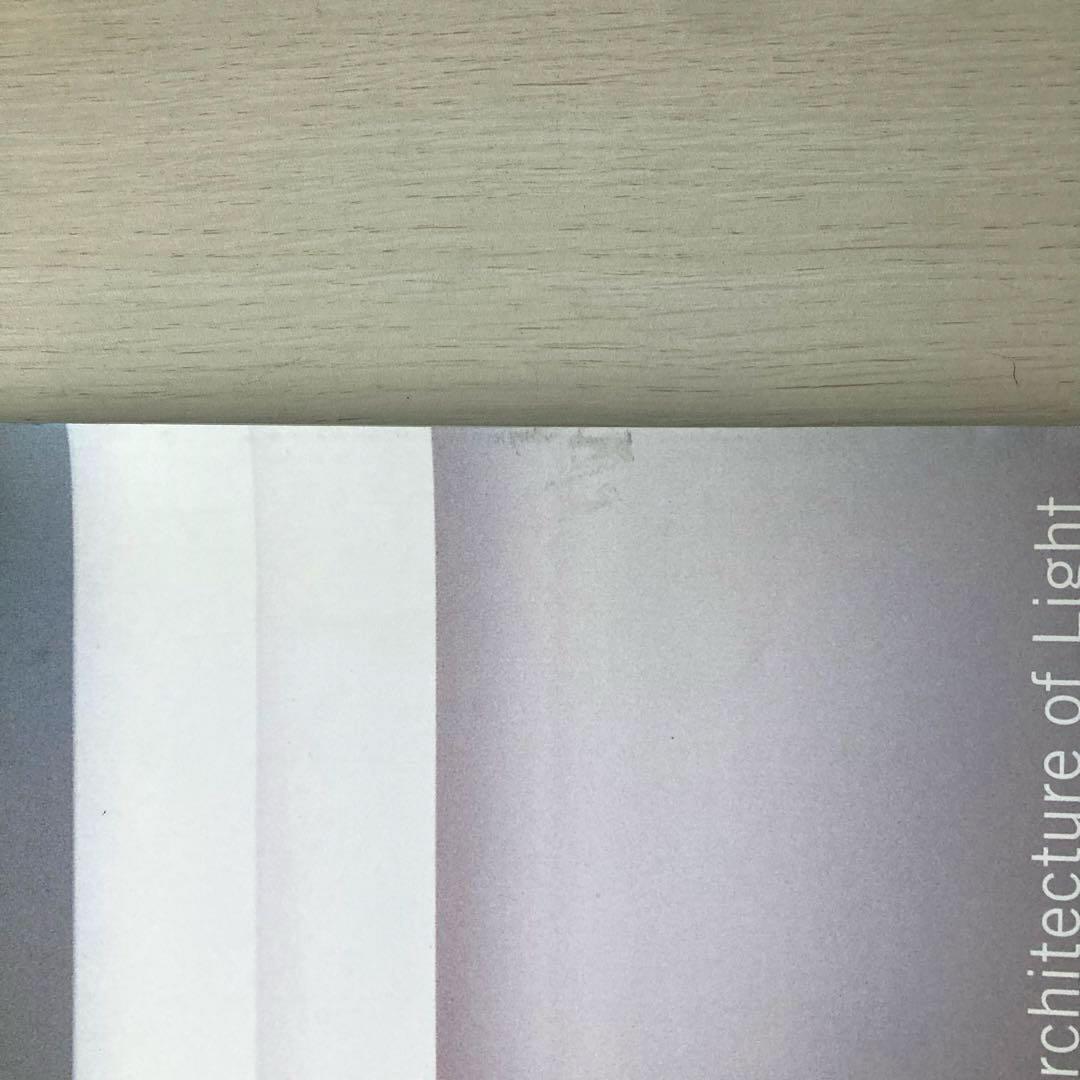 Dan Flavin ダン・フレイヴィン　グッゲンハイム美術館　2000年　図録