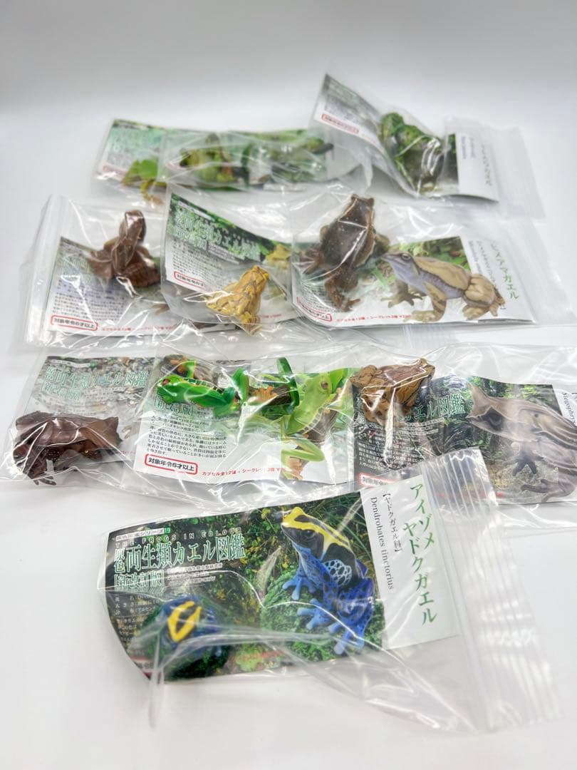 原色両生類カエル図鑑 [新改訂版]