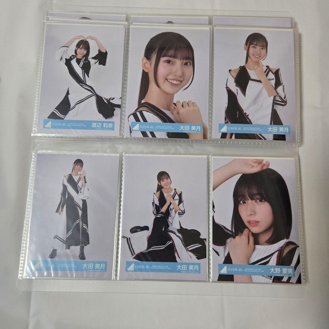 日向坂46 生写真 フルコンプ OVER THE RAINBOW ライブ衣装