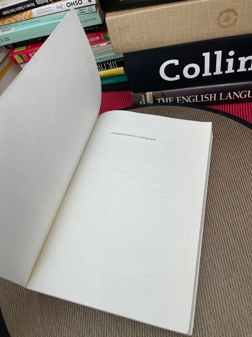 語学・辞書・学習参考書 A Practical Guide to Lexicography