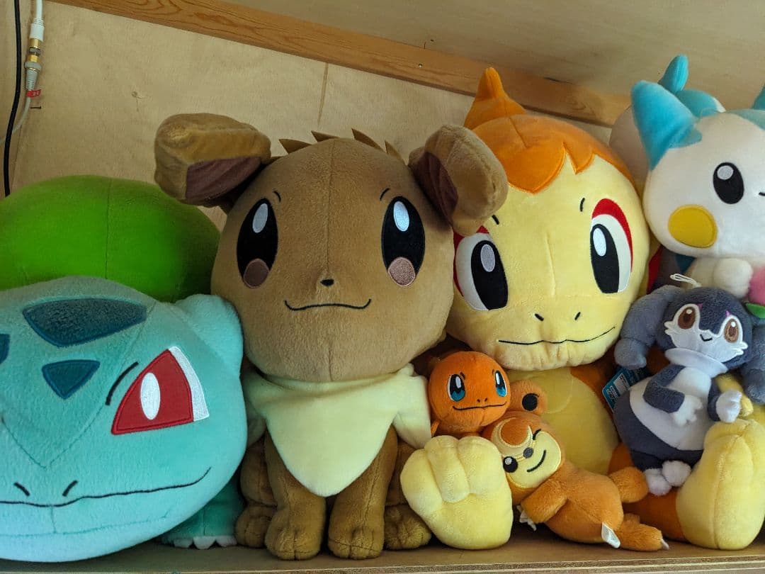 ポケモンぬいぐるみまとめ売り
