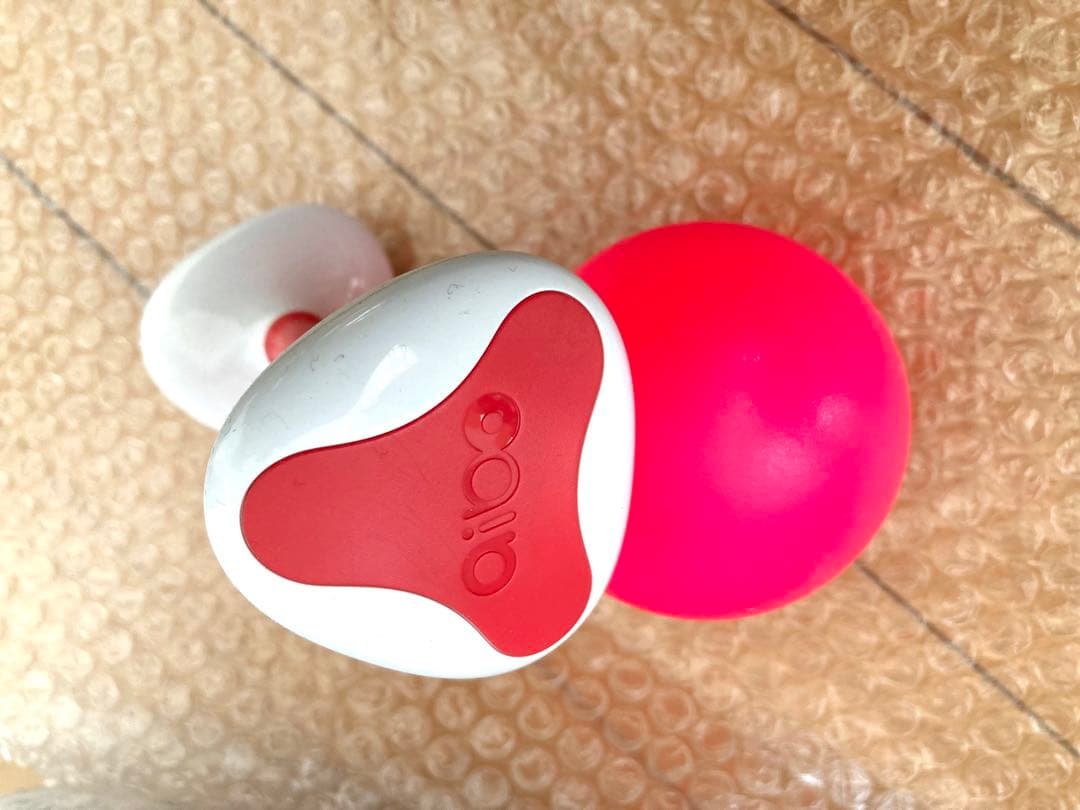 SONY aibo ERS-1000 キャラメル・ブリュレ