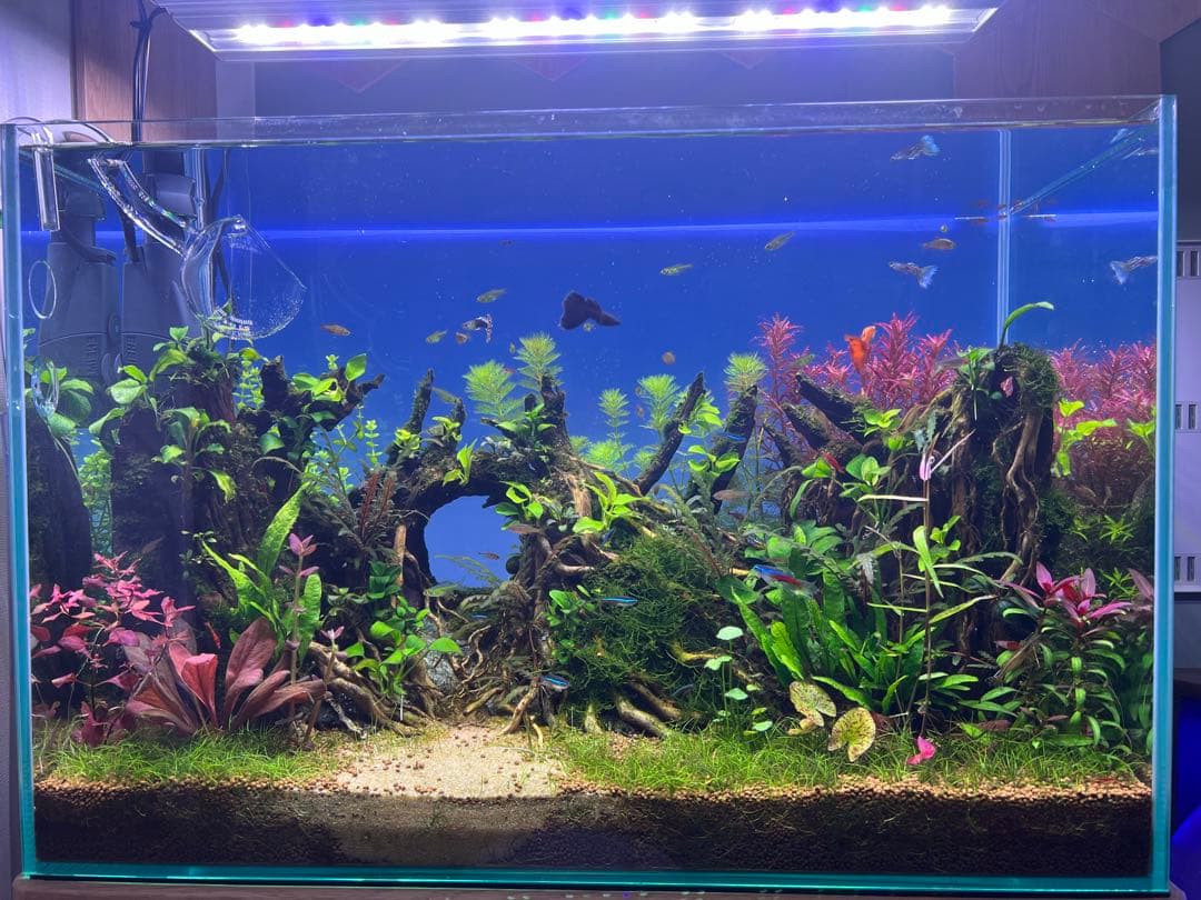 水槽 バックスクリーン ライト 60×40