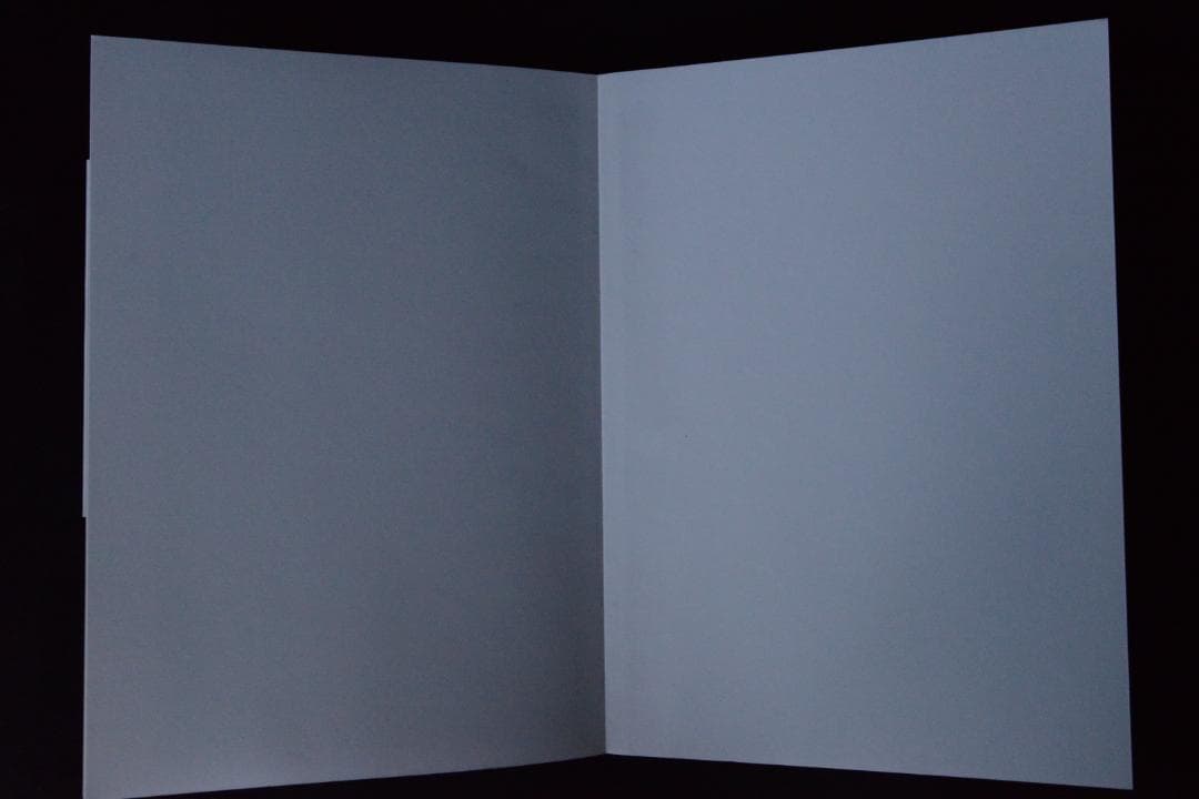 【Anne De Gelas：L'amoureuse】★著者サイン入り