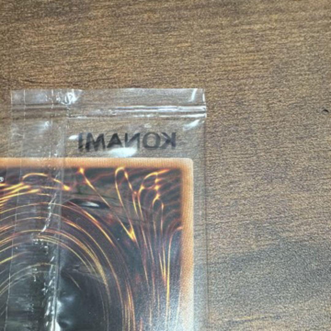 真紅眼の黒竜 遊戯王 ナイキ エアーマックス 95レッドアイズ・ブラックドラゴン