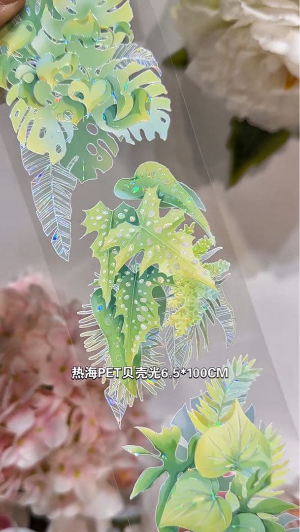 【9453】海外　マステ　3/5/巻　貝殻光マスキングテープ葉っぱ　自然　装飾系