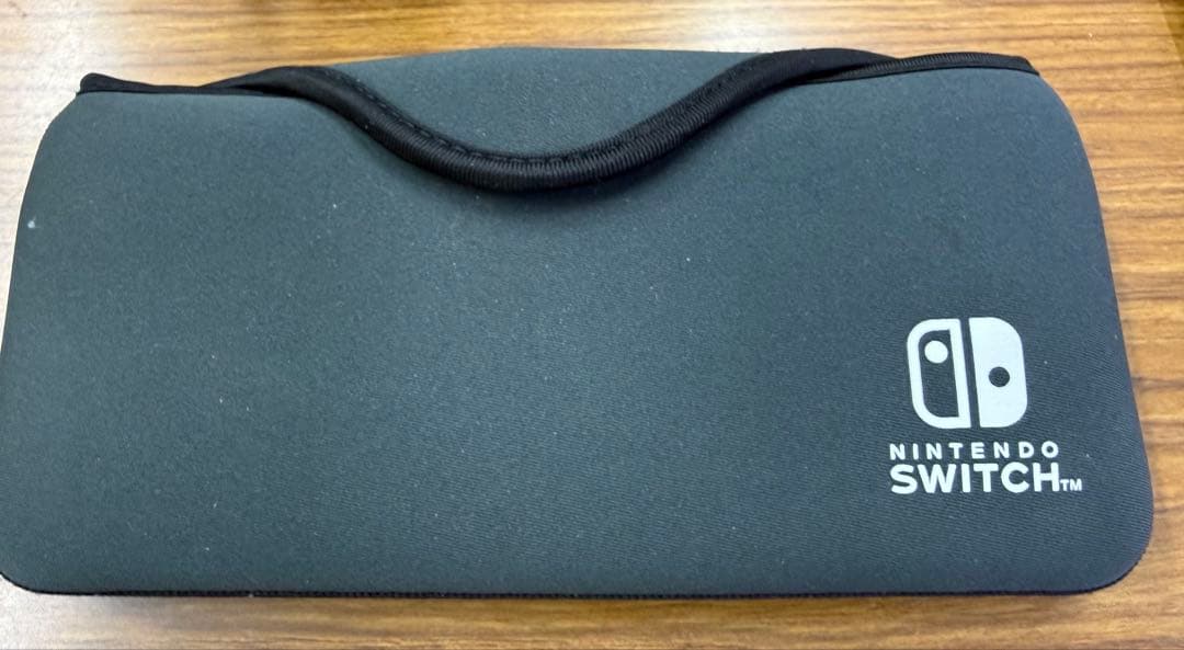 Nintendo Switch Lite 本体 + キャリングケース