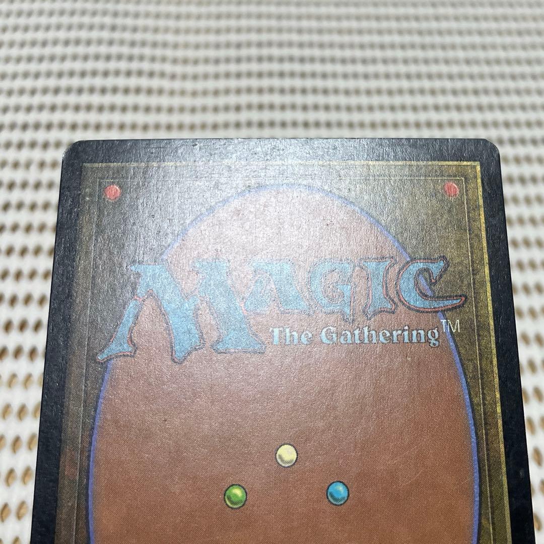 MtG 適者生存【EXO】英語プレイド