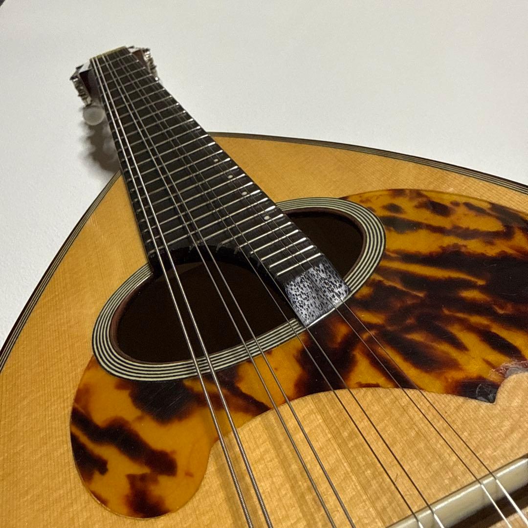 石川捷二郎監修 Venezia マンドリン M-50 ハードケース付