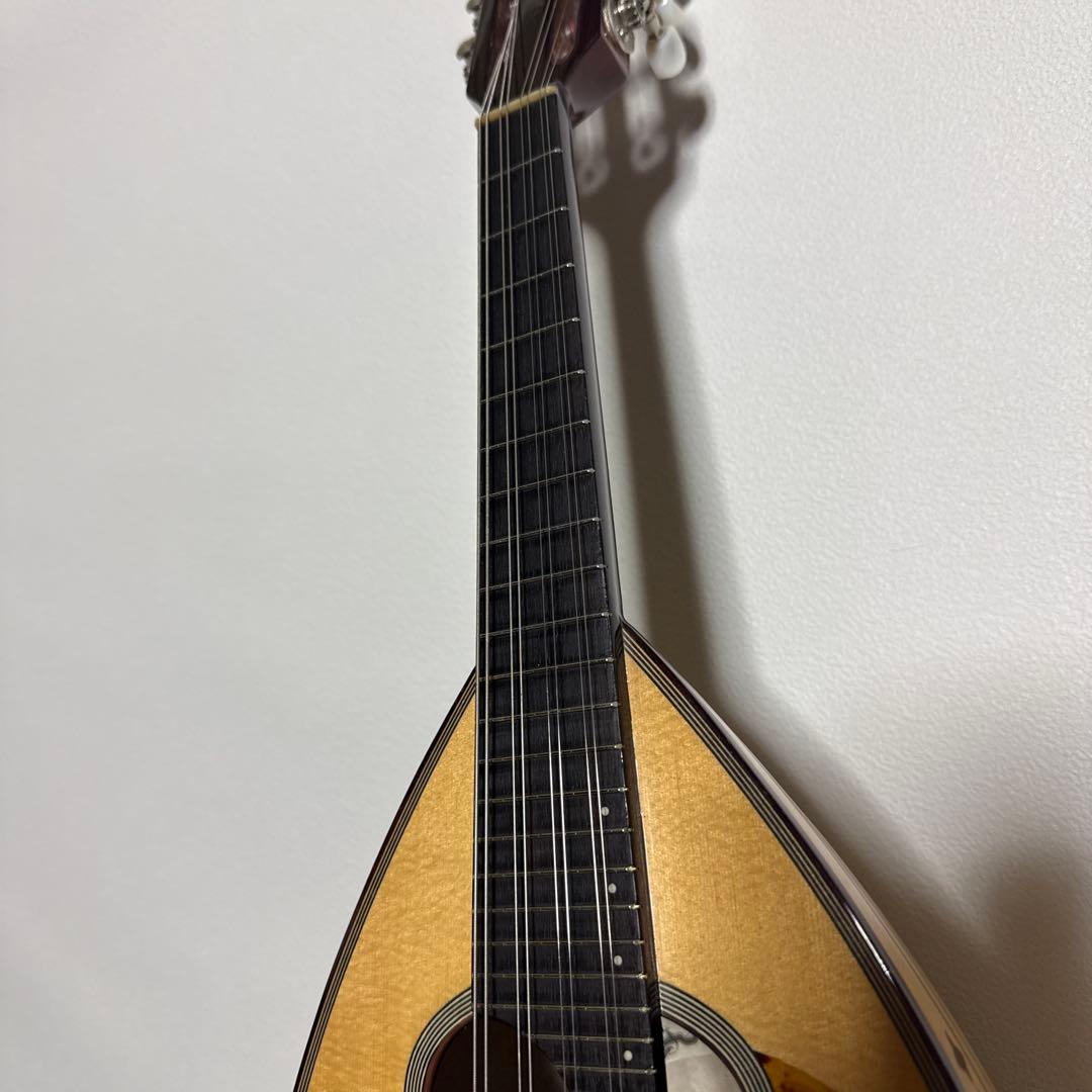 石川捷二郎監修 Venezia マンドリン M-50 ハードケース付