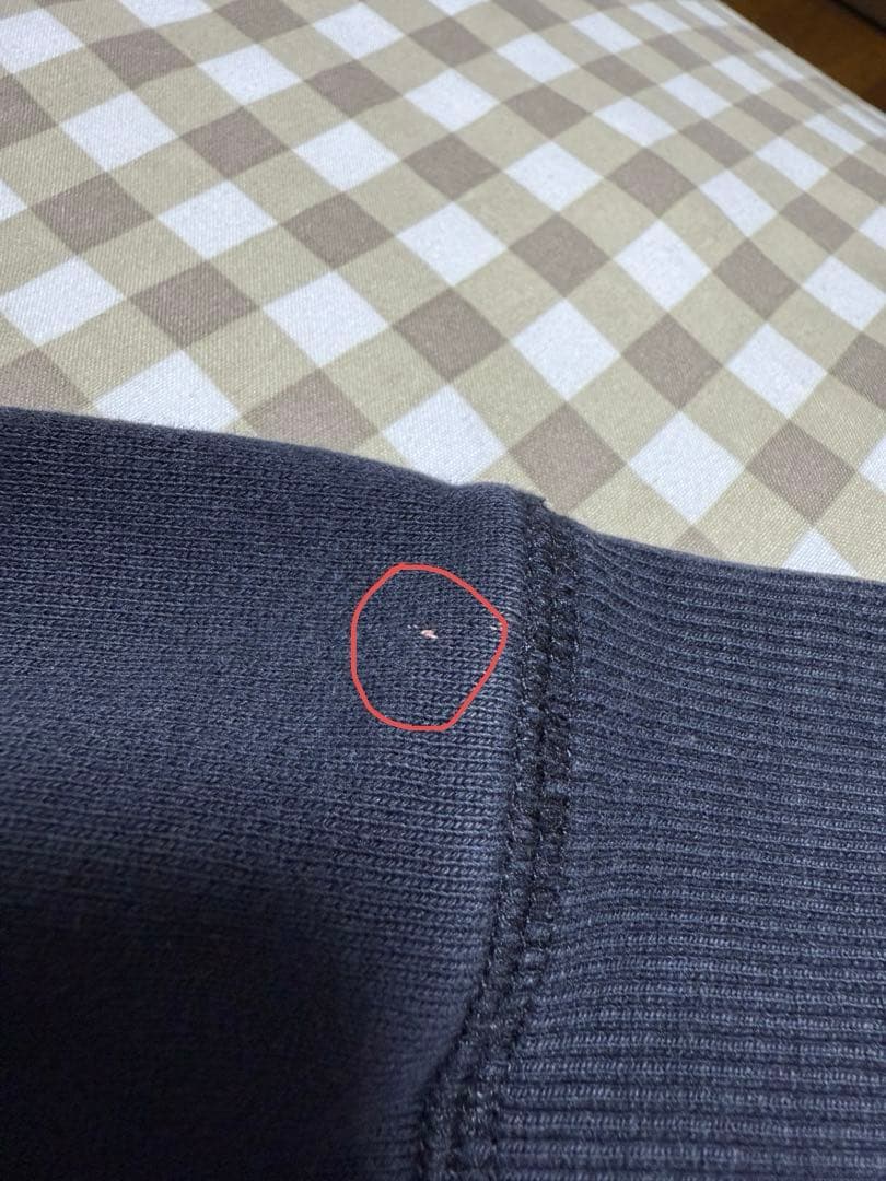 theGazettE 初期ロゴパーカー