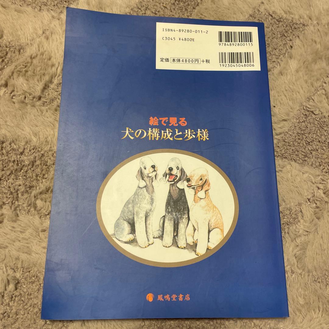 絵で見る犬の構成と歩様