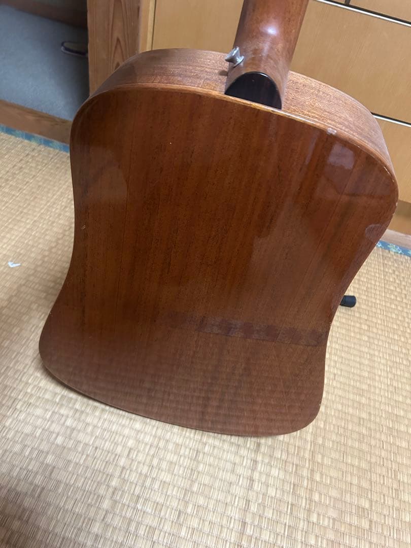 Baden D-Style Mahogany アコースティックギター