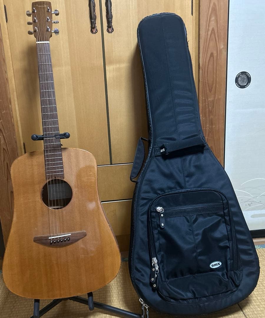 Baden D-Style Mahogany アコースティックギター