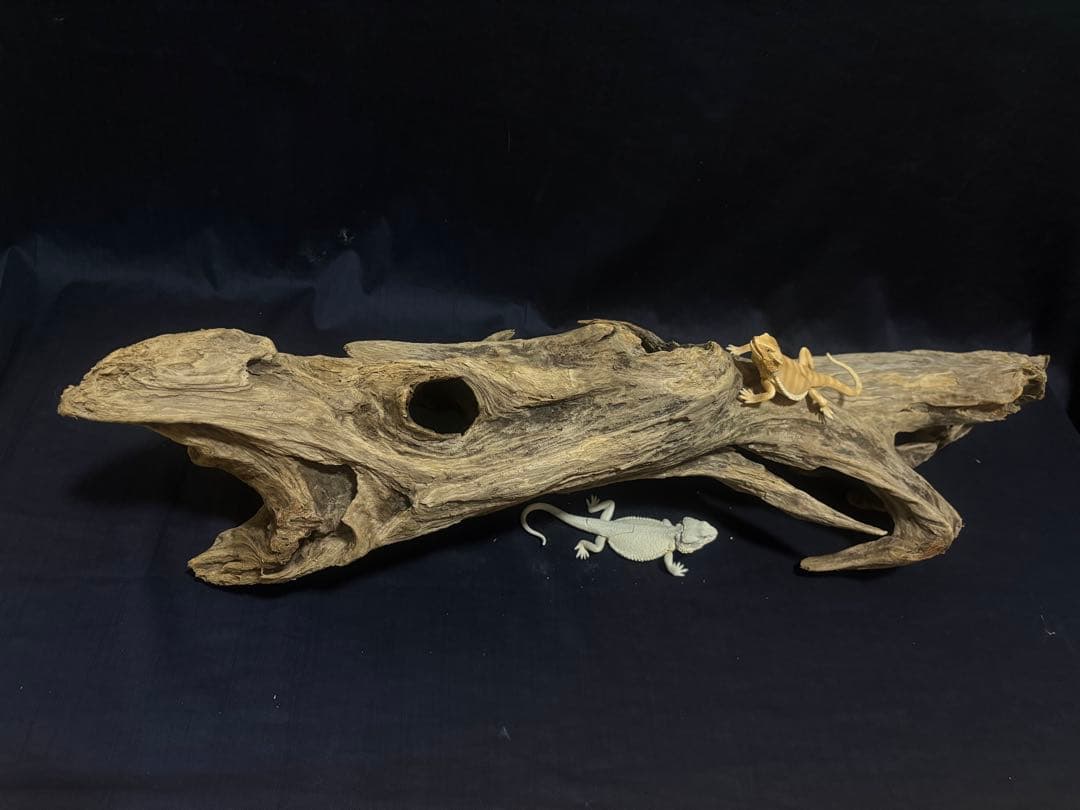 Ｇ88 爬虫類、両生類、シェルター、アクアテラリウム、インテリア、DIY