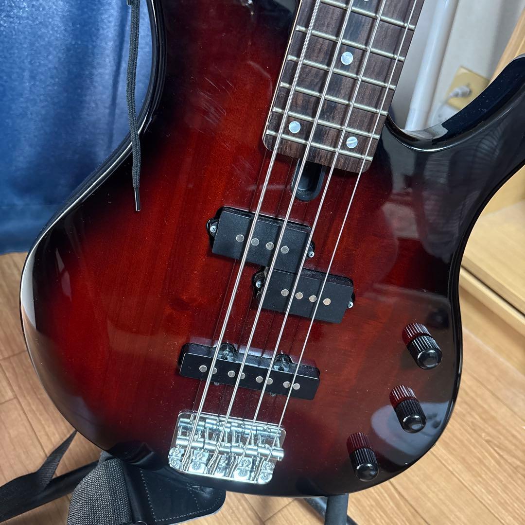 杉*平様 （ソフトケース、スタンド付き）YAMAHA TRBX174 OVSエレ