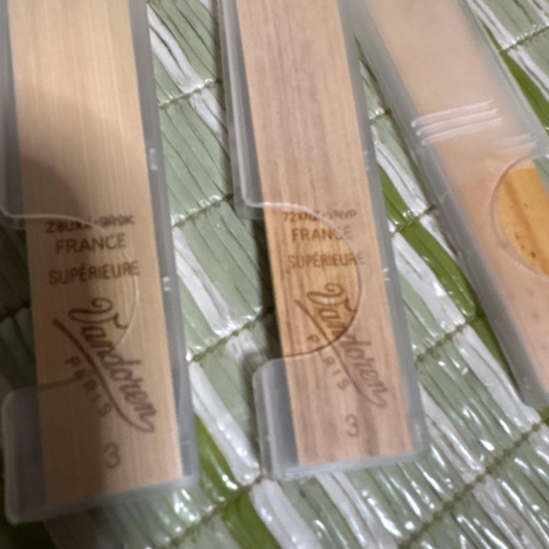 SELVA セルバ アルトサックス SAS-100 ケース付き　管楽器　音楽