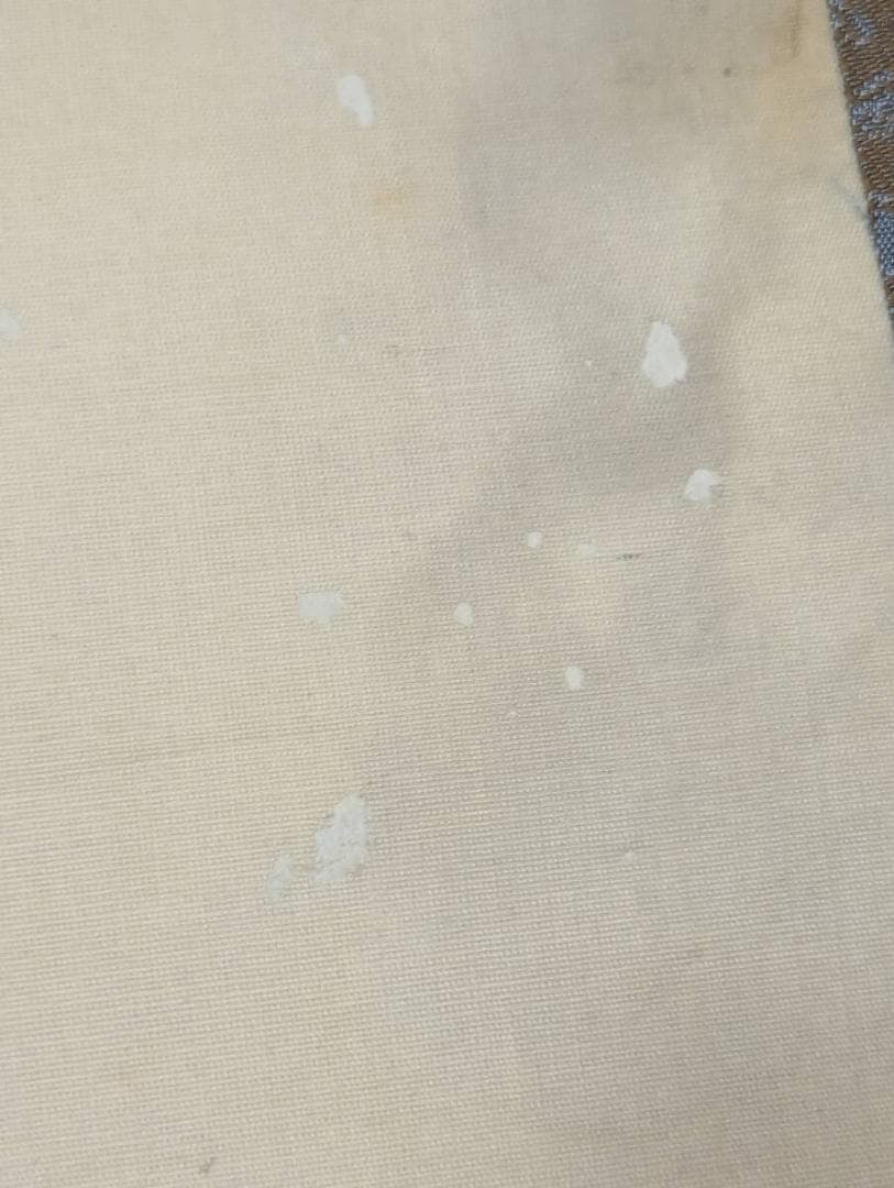 【真作】掛軸　津端道彦　月輪観音図　幽玄なる墨彩仏画　禅の美　合箱入　U151