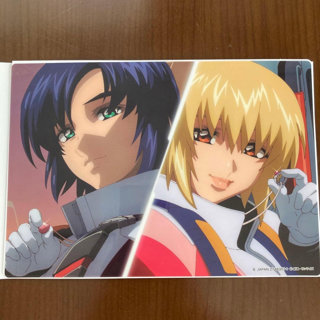 アスカガ　アスラン　カガリ　ガンダムseed クリアファイル　クリアカード