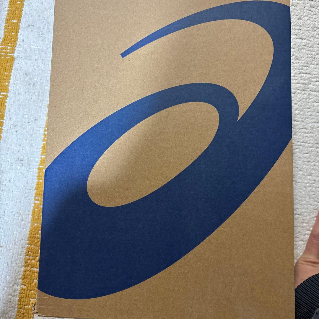 シューズ ASICS SKY ELITE FF MT 3 PARIS 26.5cm