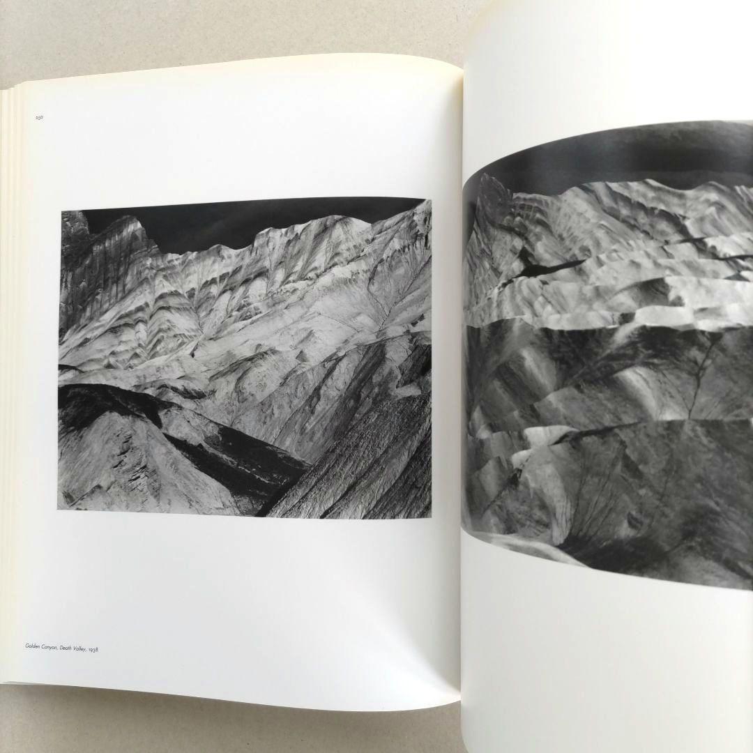 Edward Weston:Forms of Passion/写真集 洋書