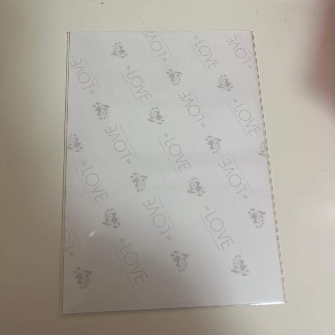 野口衣織 直筆 赤背景② いかりんぐ