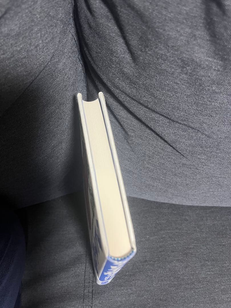 【即購入可能】タヒチの輝き