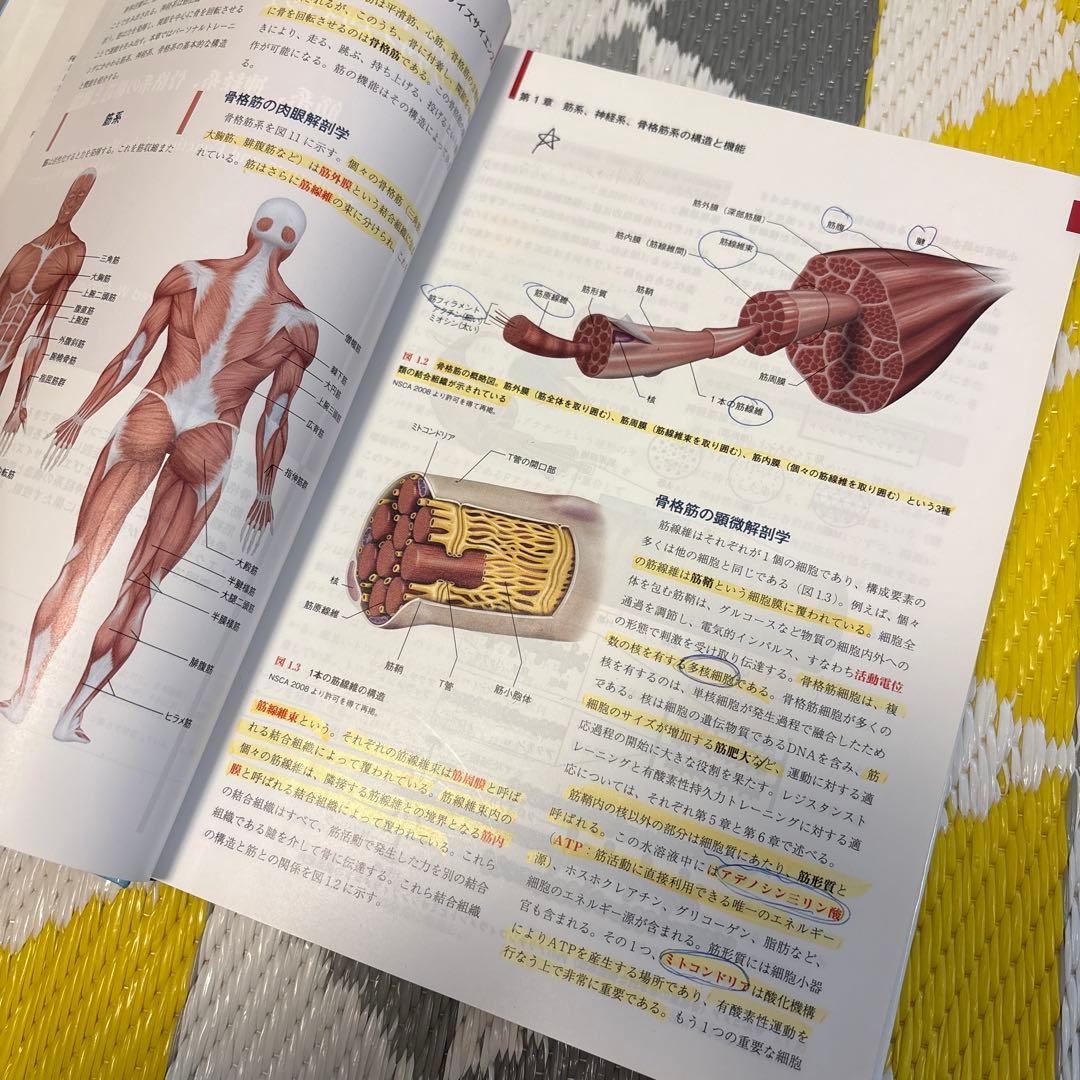 NSCAパーソナルトレーナー基礎知識 スポーツ