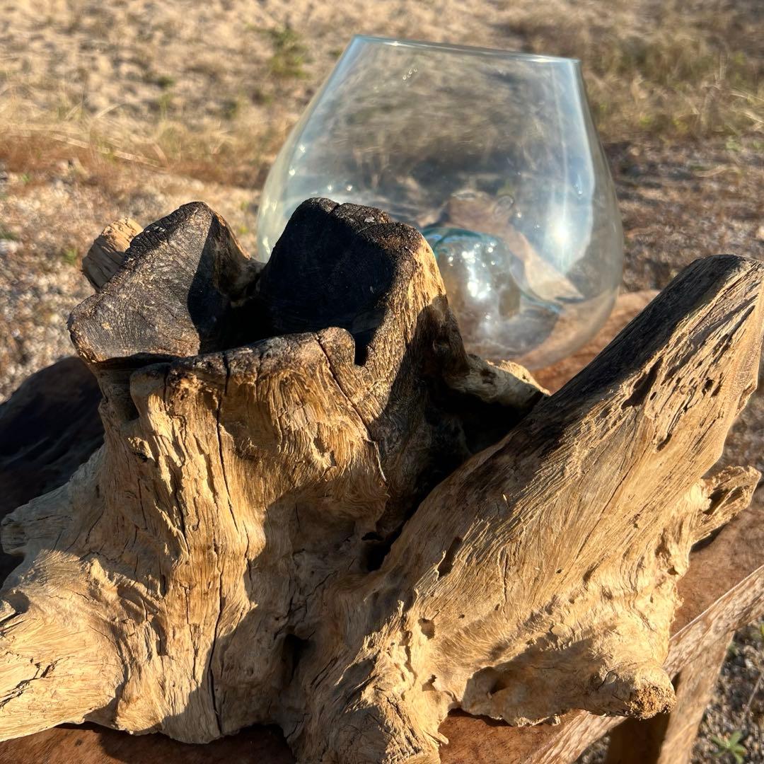 流木ガラス オブジェ超特大J 花瓶 金魚鉢 水槽 テラリウム 観賞魚 メダカ容器