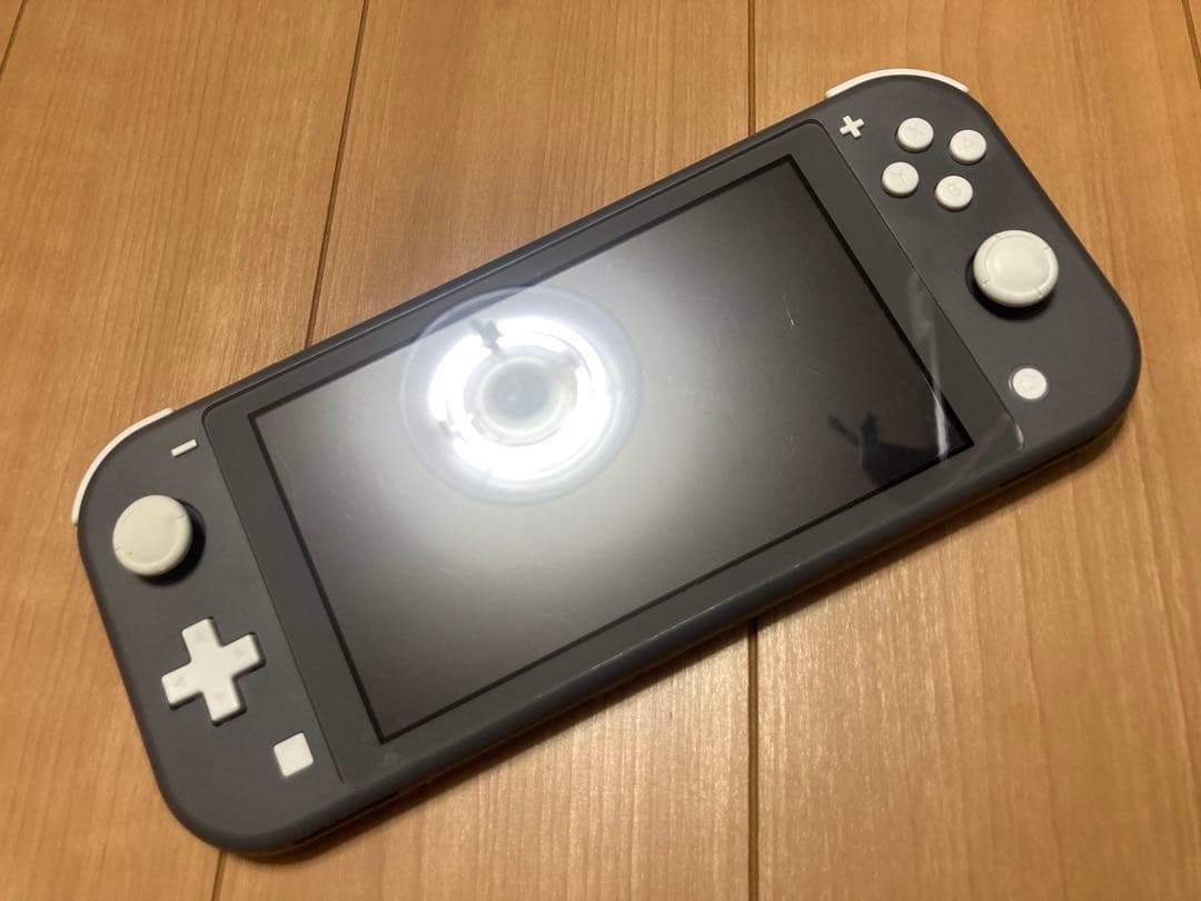 Nintendo Switch Lite グレー 本体のみ ジャンク扱い