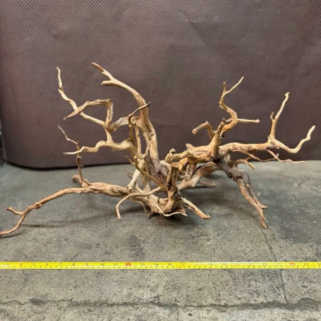 ブランチウッド アクアリウム＆テラリウム流木5本組SET(オマケ流木3本付き)