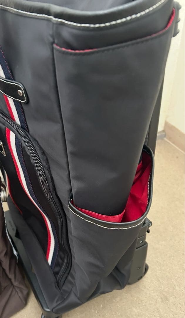 スワニーキャリーバッグLサイズ