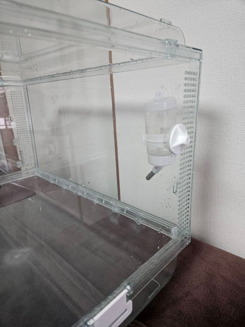 GEX グラスハーモニー　600　+　その他おまけ