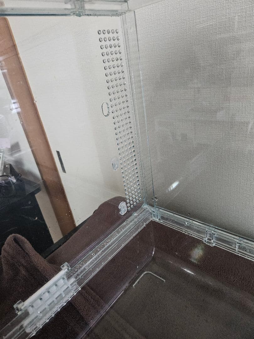 GEX グラスハーモニー　600　+　その他おまけ