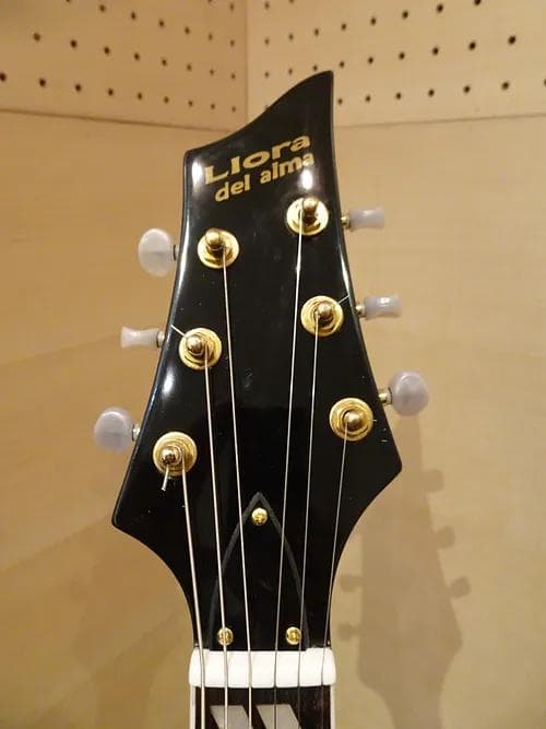 Del alma Guitars モデルThin Line Jazz