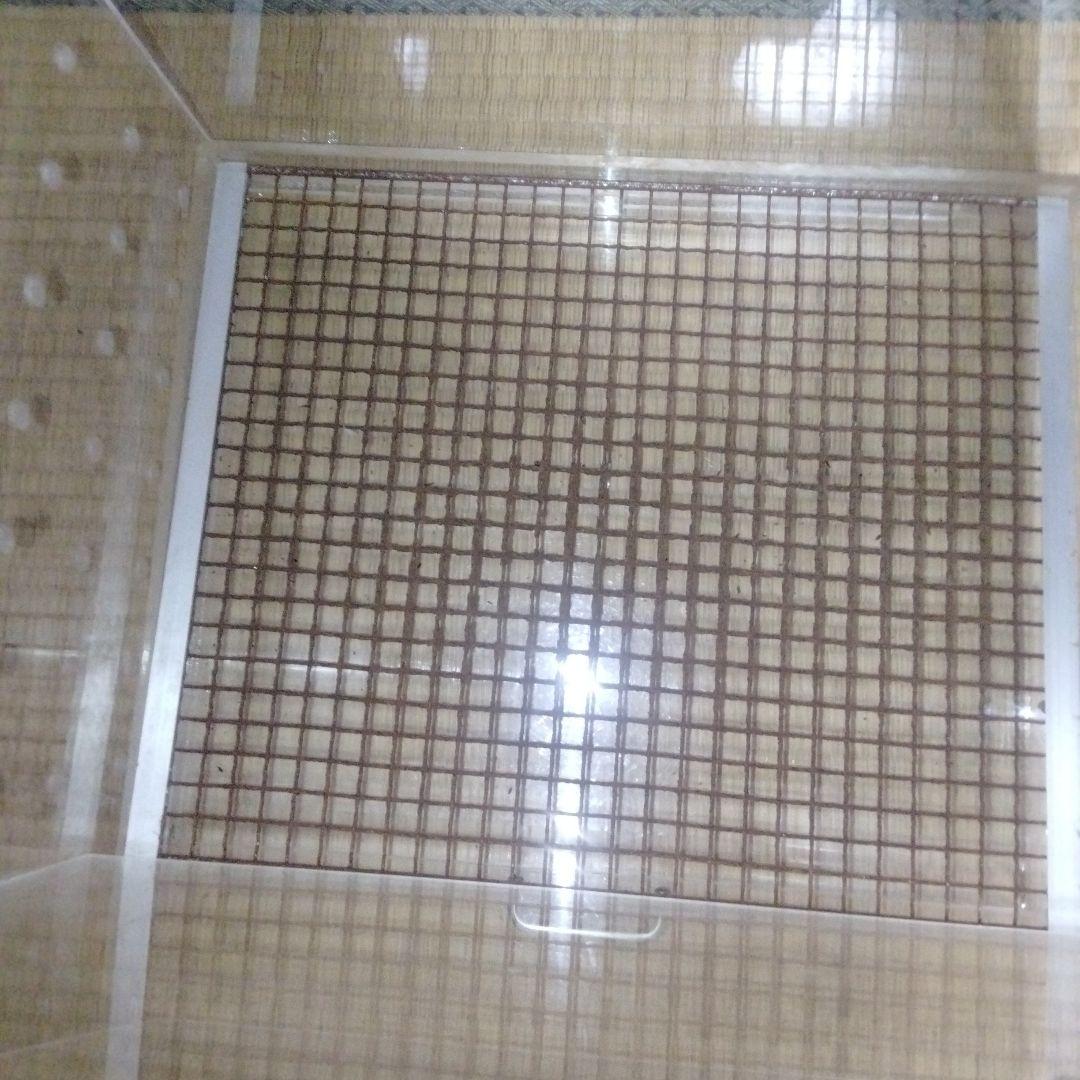 モモンガ用　アクリルケージ