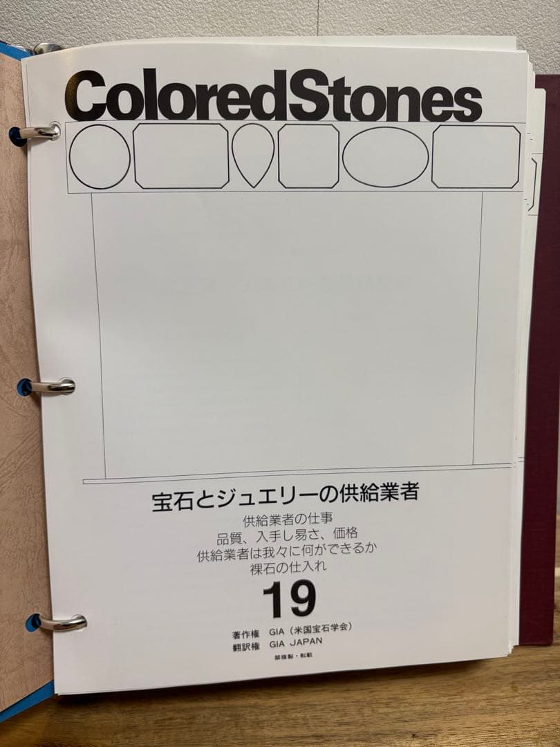 GIA 宝石鑑定　教科書　日本語翻訳付き