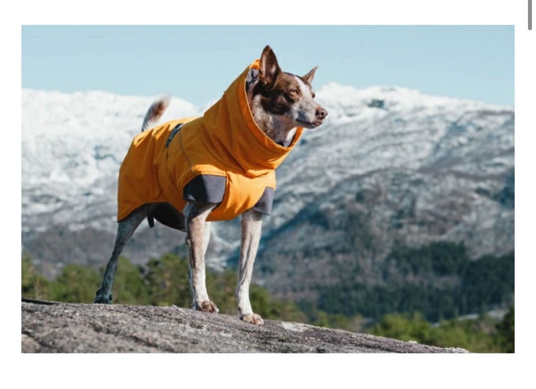 Hurtta フルッタ　犬用ジャケット エクスペディション　35 cm