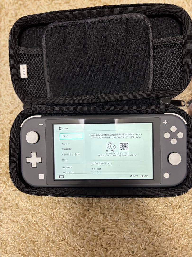 Nintendo Switch Lite グレー 本体 充電器・専用ケース付き