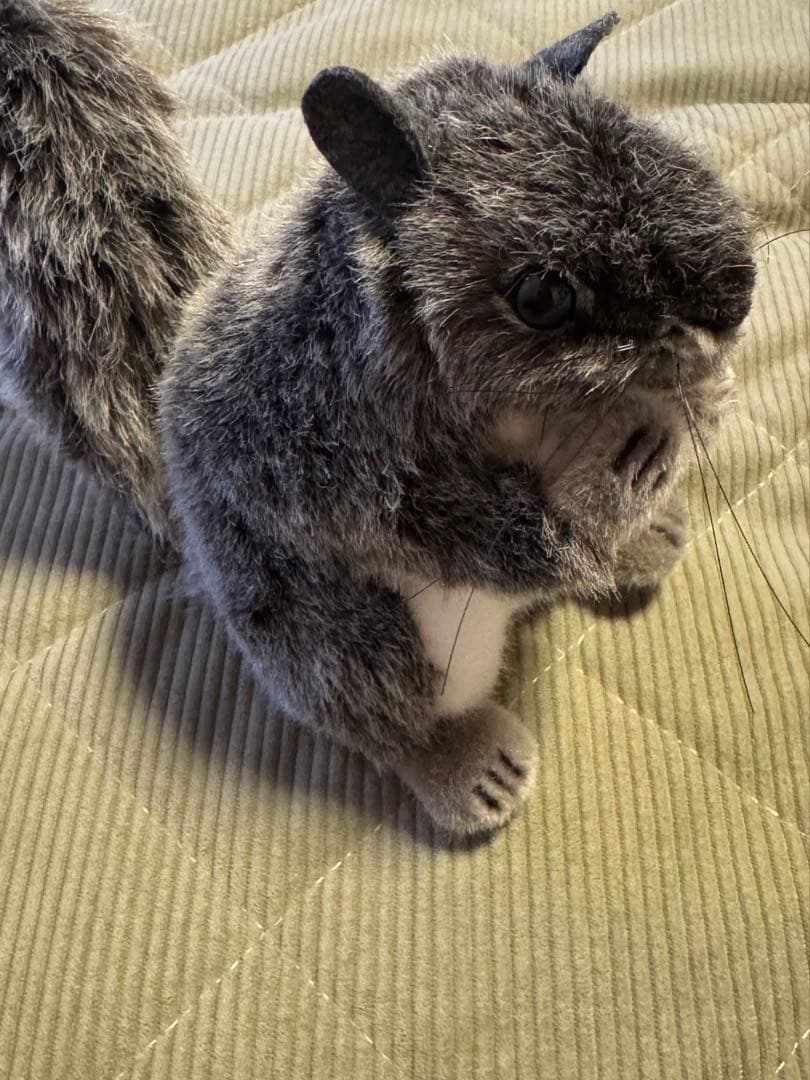 KOESEN/KOSEN ケーセン社 ぬいぐるみ リス