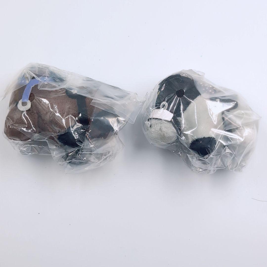 未開封品 10個まとめ　サラブレッドコレクション　ぷちぬいぐるみ　カプセルトイ