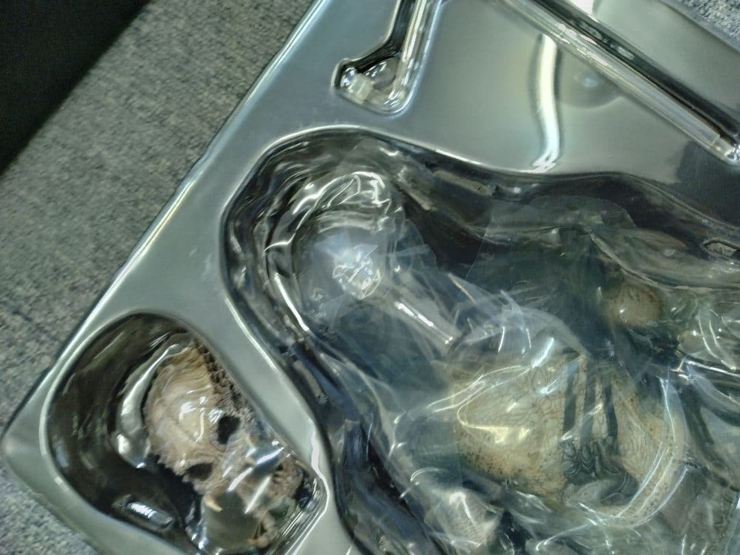 HOT TOYS ムービー・マスターピースMMS137 ファルコナー プレデター